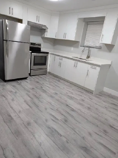 Modern Basement Suite For Rent Image# 1