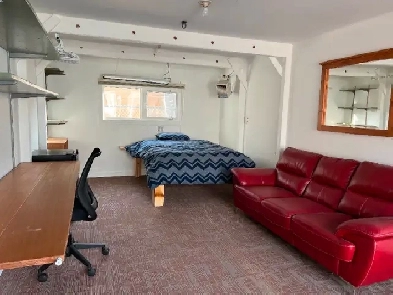 MAN’S CAVE FOR RENT - Riverdale - 1000$/month Image# 1