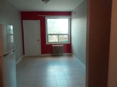 Renovated Spacious Bachelor Apt (Sheppard and Bathurst) Image# 1