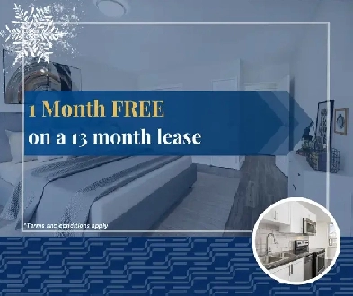 1 Bedroom Apartment for Rent - 2570 Kingston Road