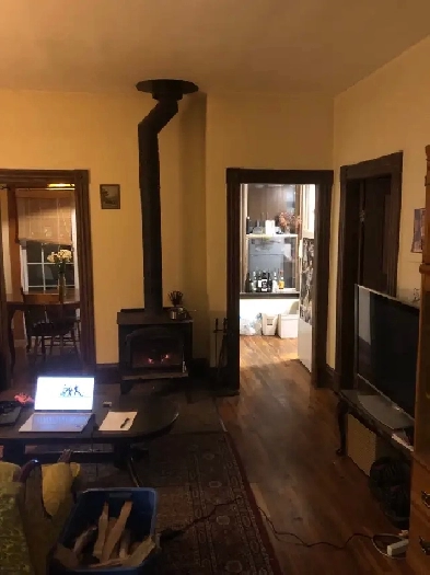 Private room in 3 bedroom apt Image# 1