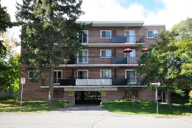 One Bedroom - 810 Connaught Avenue Image# 1