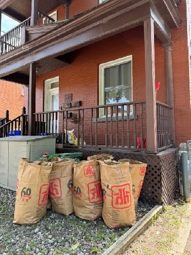 116 Flora St. For RENT / Carleton U, Centretown Image# 1