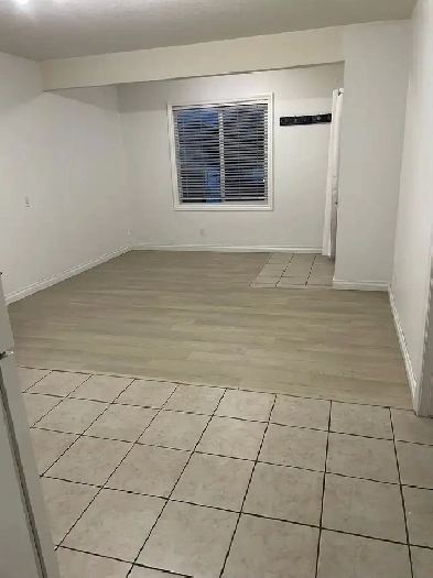 walkout basement for rent Image# 1