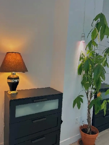Cession de bail - Appartement 1 chambre au Vieux Aylmer (Br Image# 1