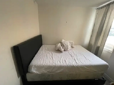 Room for rent in a TWO Bedroom apartment. Image# 1