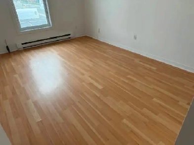 BEAU GRAND APPARTEMENT RENOVÉ 4 1/2 À LOUER Image# 1