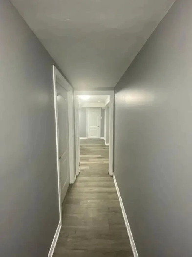 2 Bedroom Basement Newly Renovated