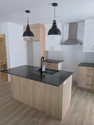 Appartement 3 1/2 Image# 6
