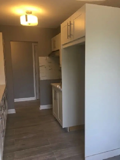 Grand 4 1/2 apt style condo renover- Cartierville Image# 1