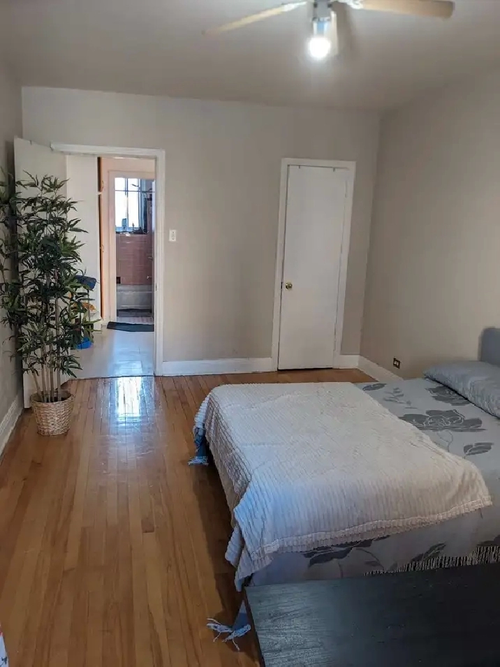 one bedroom apartment Plateau Mont Royal, McGill Ghetto Area in City of Montréal,QC - Apartments & Condos for Rent