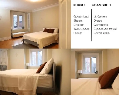 Room for rent downtown - women only Image# 1