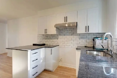 4 1/2 Style-Condo rénové à neuf à Mirabel - Internet inclus Image# 1