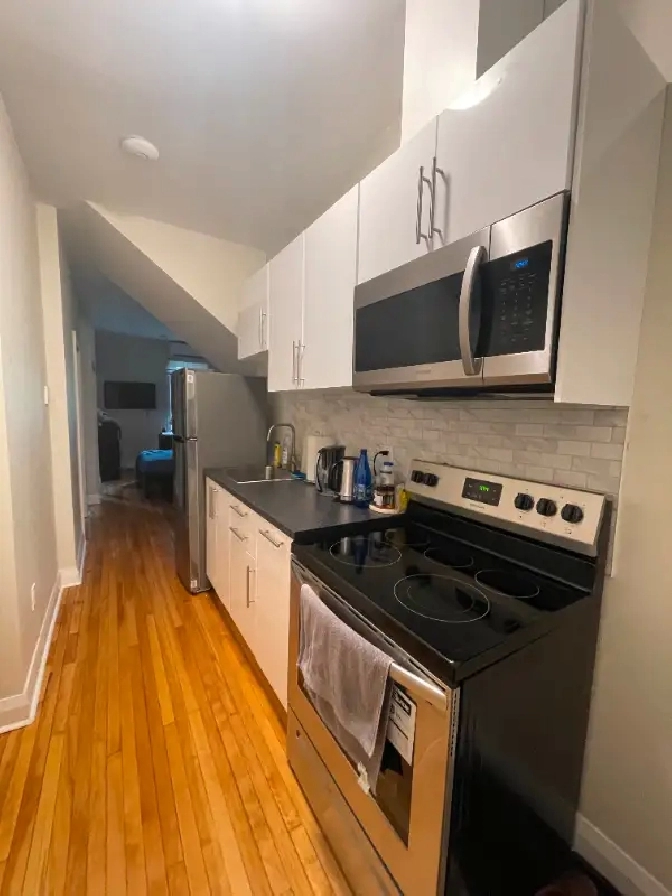 Furnished One-Bedroom/Bachelor for Rent Near Ottawa University in Ottawa,ON - Room Rentals & Roommates