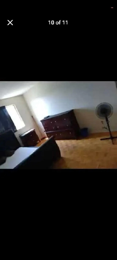 large bedroom for rent near algonquin all included Image# 1