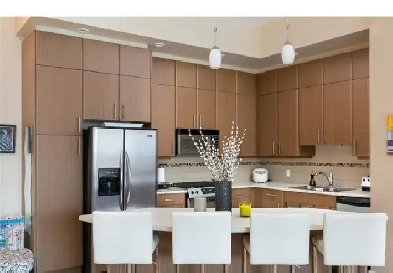 'The Lofts Downtown' Wonderful Suite! Image# 1