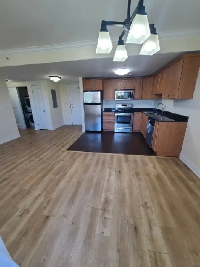 Luxury 1-Bedroom Apartment Halifax Downtown Available April 1st Image# 1