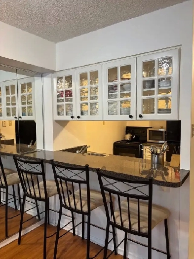 Furnished Downtown Toronto Condo