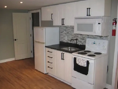Gorgeous all inclusive bach apt, minutes from Algonquin College Image# 1