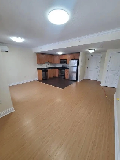 Luxury and Spacious 1 Bedroom Apartment Available June 1st Image# 1
