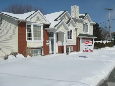 CHAMBRES À LOUER PRÈS DE L'UNIVERSITÉ SHERBROOKE Image# 1