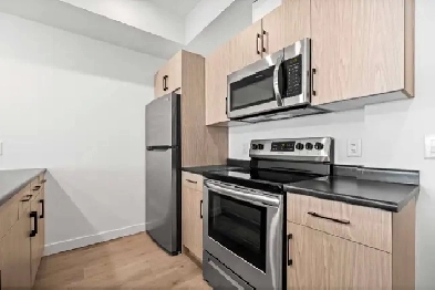 LUXURY 2 Bedroom Apartment for Rent in Transcona! Image# 1
