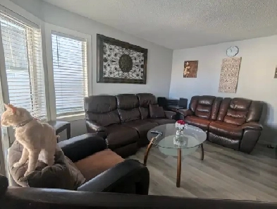 Welcome Home! Image# 1