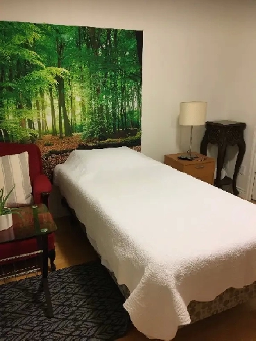 Big bright furnished  BR on top floor suite near Joyce Station Image# 1