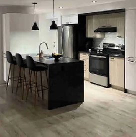 location appartement 5 1/2 saint jerome Image# 1