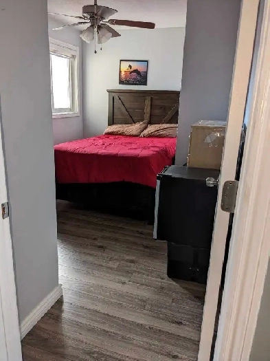 Renovated bedroom for rent Image# 1