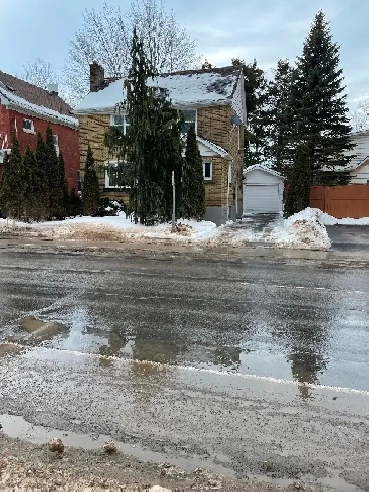 Queen’s students -4 bedroom detached house Image# 1