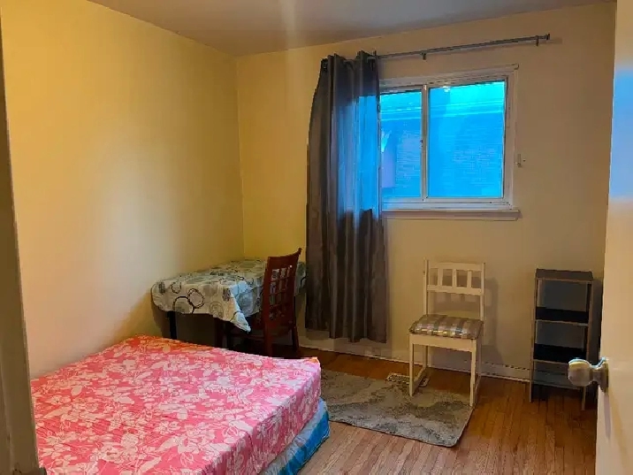 BRIGHT ROOM MAIN FL-50m TO PLAZA STEELES/BATHURST NEAR BUS in City of Toronto,ON - Room Rentals & Roommates