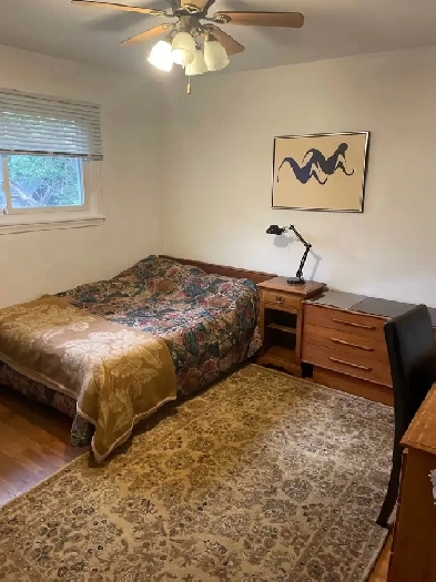 Clean Quiet Room For Rent Near Algonquin College Image# 1