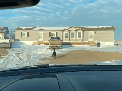 2013 mobile home to be moved Image# 1