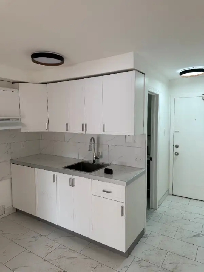 2 1/2 À Louer dans Rosemont 1 mois gratuit in City of Montréal,QC - Apartments & Condos for Rent