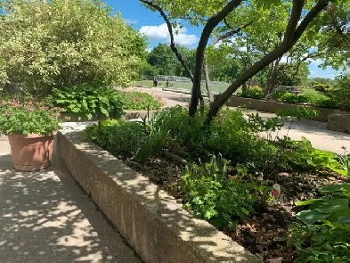 Sun Filled Home Image# 1