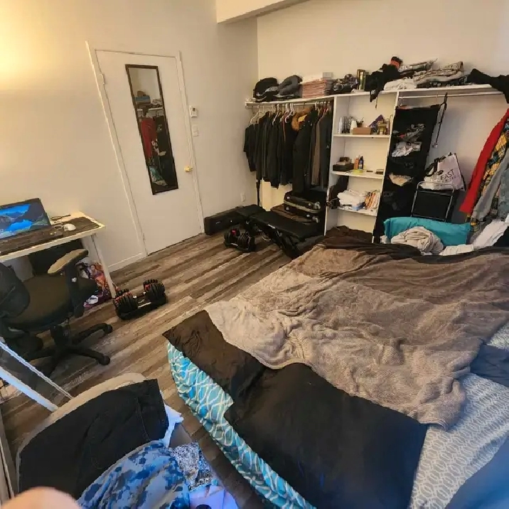1 bedroom apartment for sublet - downtown in Ottawa,ON - Apartments & Condos for Rent