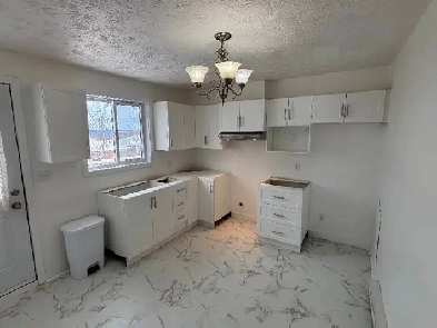 LIBRE IMMÉDIATEMENT BEAU 5 1/2 (MONT-BELLEVUE) DANS QUATRIPLEX Image# 1