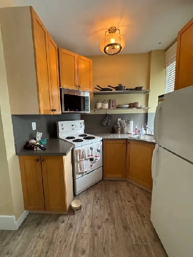 Apartment for sublet/ finish lease