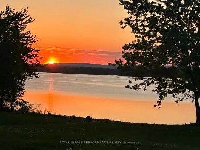 Route 21 | Schedule to See this Land Today