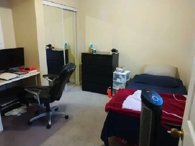 Immed/April-10minWalk/Algonq-Room for rent,Merivale,Furn,VIDEO's Image# 1