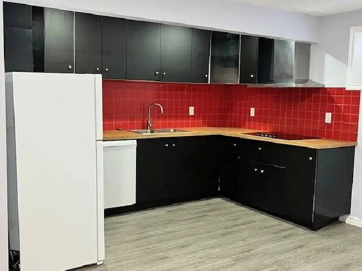 Brand new 2 Bed 1 Bath legal basement suite to rent in Edmonton,AB - Apartments & Condos for Rent