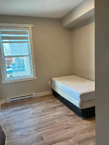 Cozy room! Good Area close to amenities Image# 1