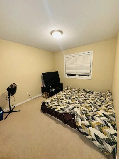 room rent Image# 1