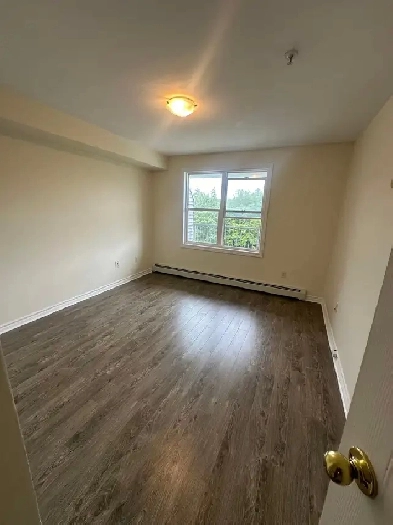 Room for Rent in Apartment Image# 1