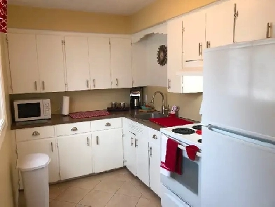 All Inclusive (Even internet) Furnished 2 Bedroom Apt. Downtown! Image# 1