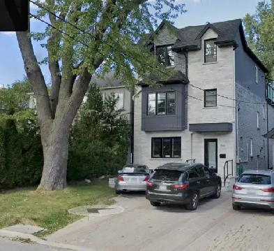 Basement Apartment - Forest Hill North Image# 1