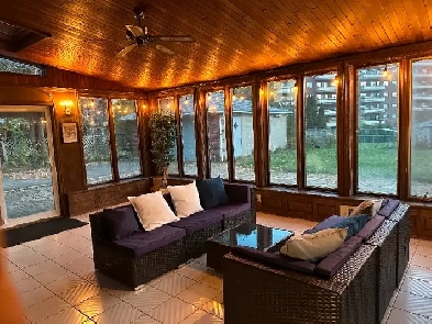 1 Bedroom Basement Apartment for Rent in North York Image# 1