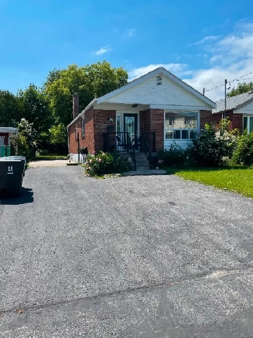 Basement Apt 4 Bedrooms Hot location  - April 01 Image# 1