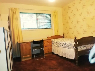 3min to Algonquin, 20min to DT. Large Private room, Female only Image# 1